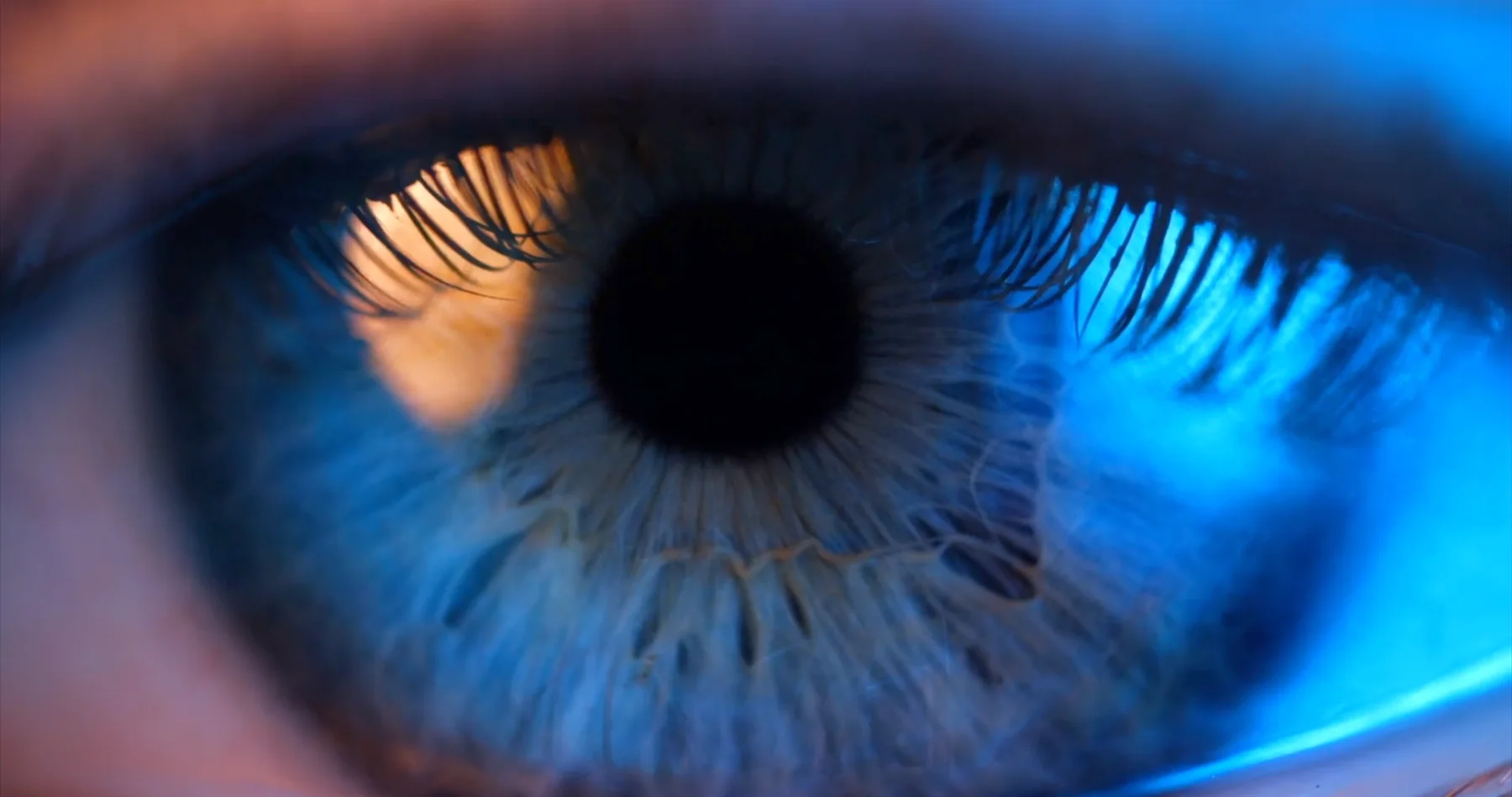 Object Reel — cinematography by Max Golov