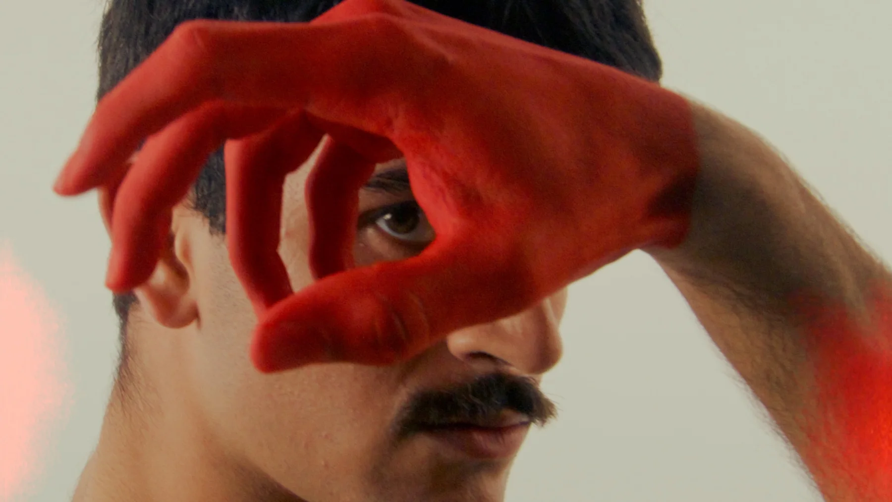 Transformation — cinematography by Max Golov
